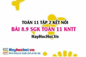 Bài 8.9 SGK Toán 11 Tập 2 Kết nối tri thức